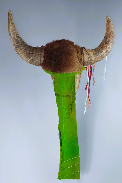 Plains Native American Buffalo Dance Head Dress