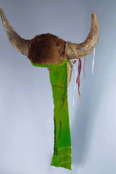 Plains Native American Buffalo Dance Head Dress