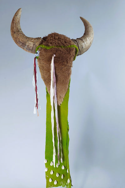Plains Native American Buffalo Dance Head Dress