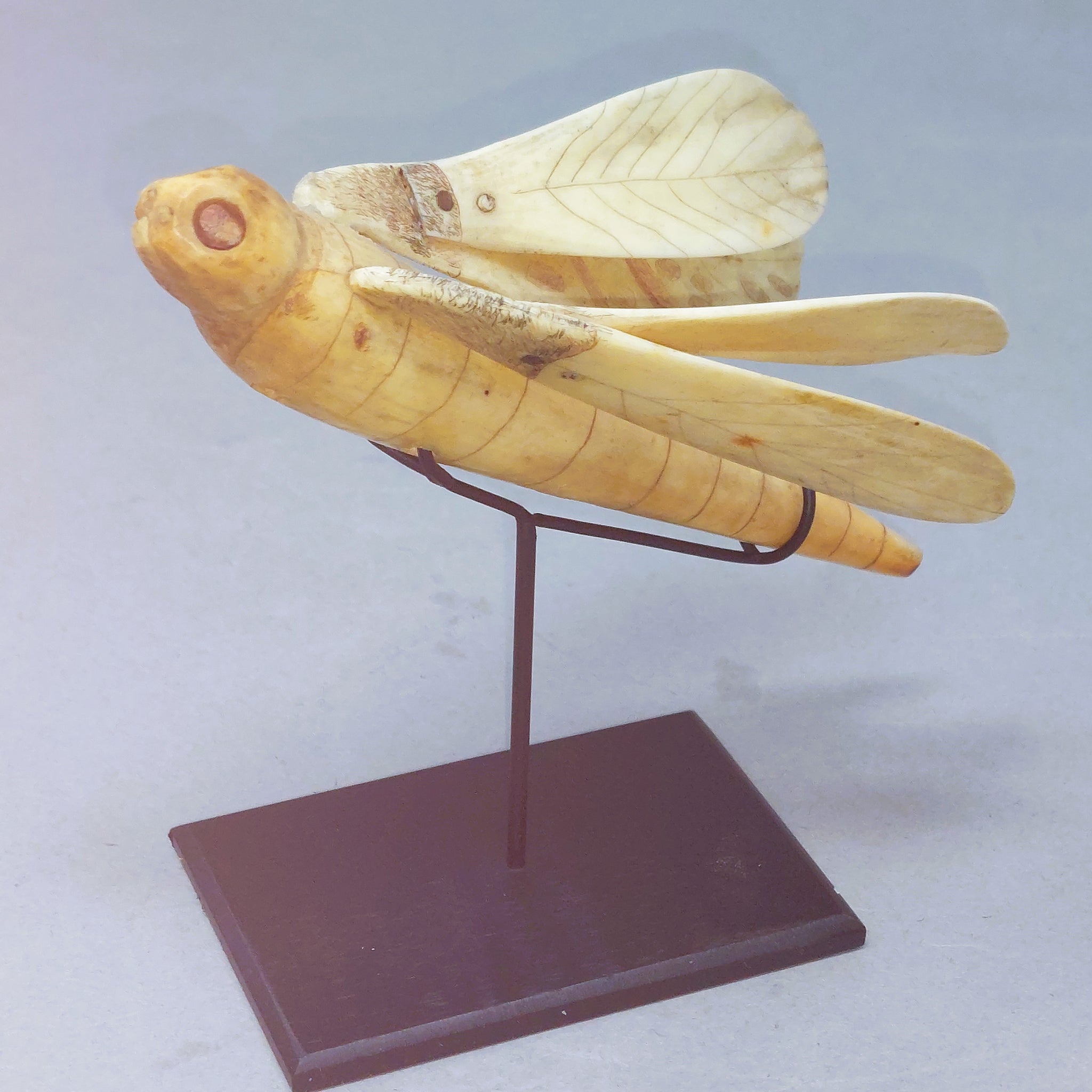 Antique Walrus Ivory Dragonfly