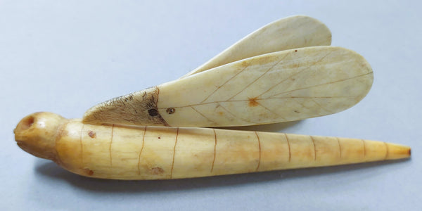 Antique Walrus Ivory Dragonfly