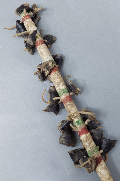 Southern Plains Medicine Stick Rattle