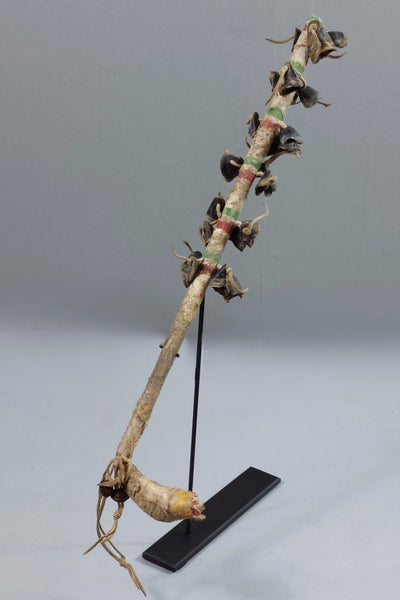 Southern Plains Medicine Stick Rattle