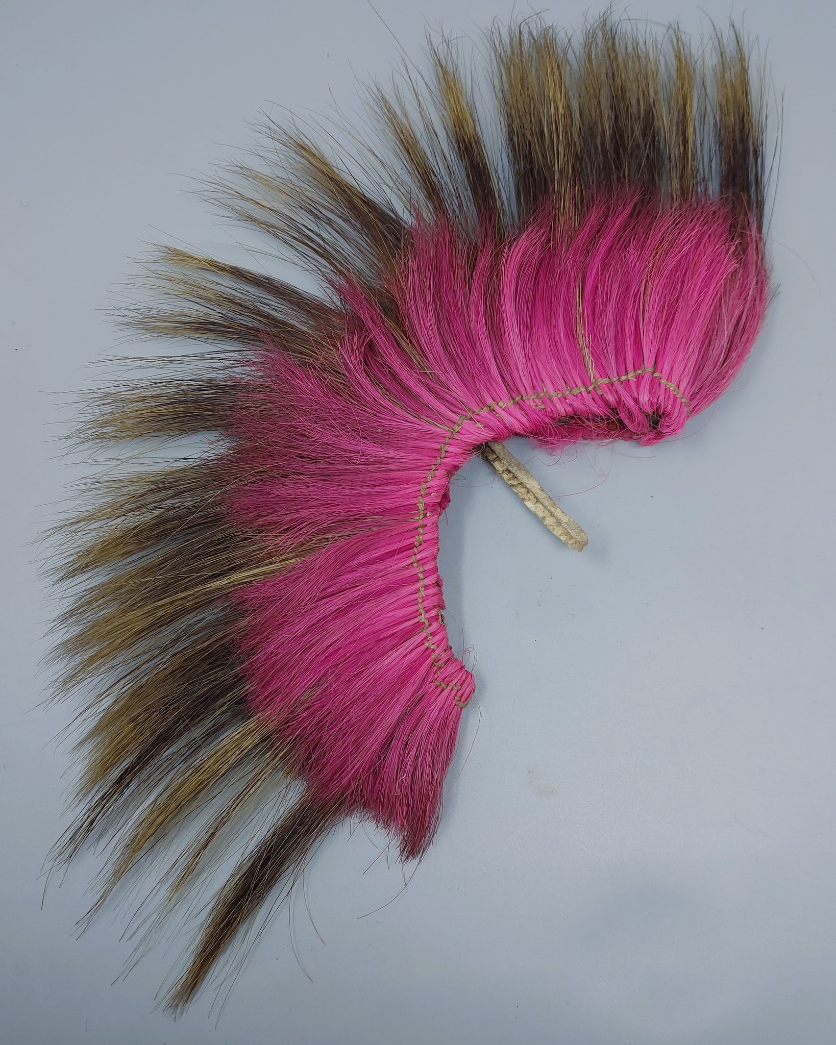 Native American Sioux Boys Hair Roach