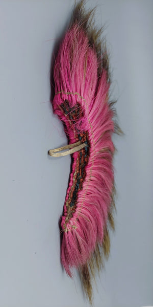 Native American Sioux Boys Hair Roach